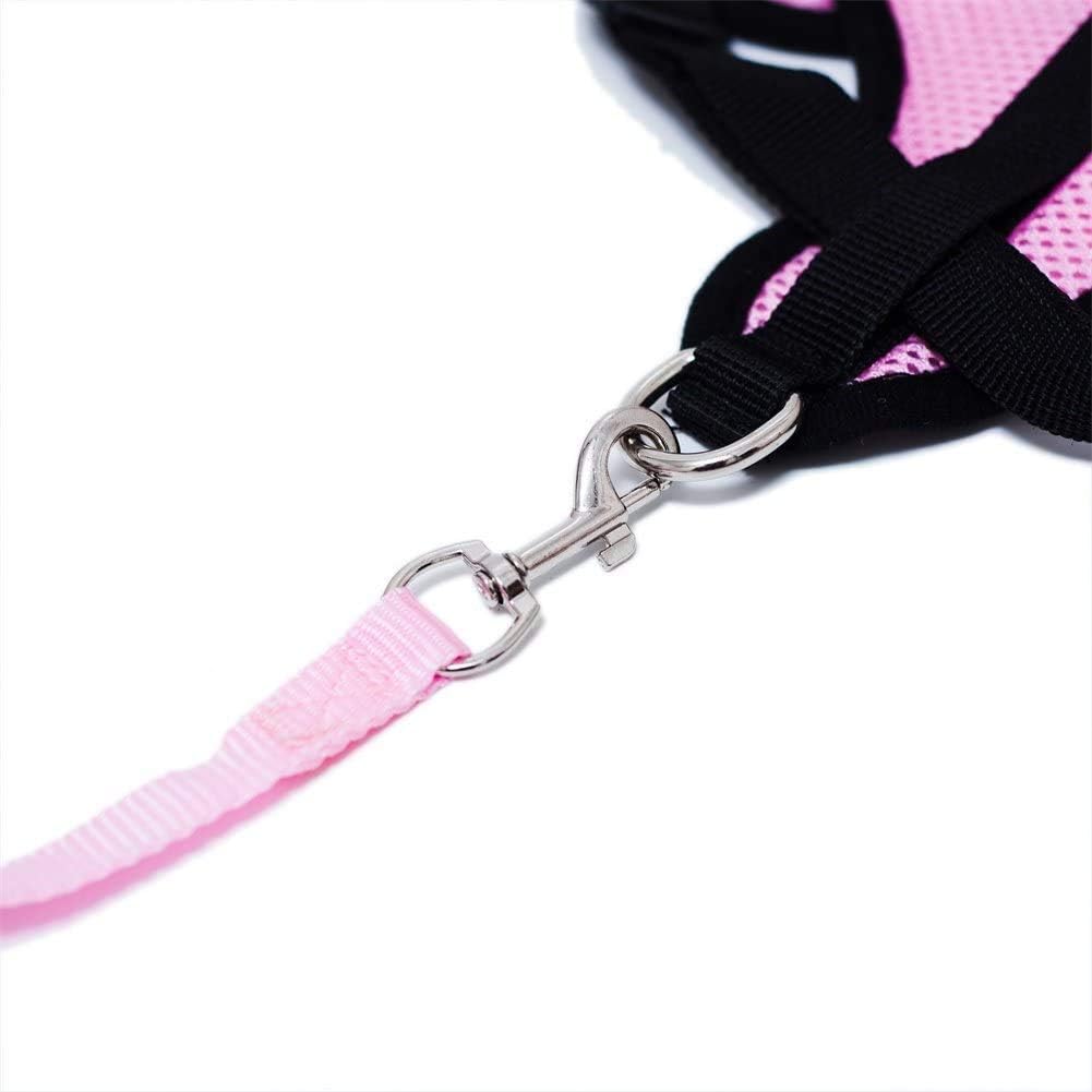 Harnais Petit Chien - DogHarnessLeadLeash™ - Rose - Espace Animalier Chien Chat