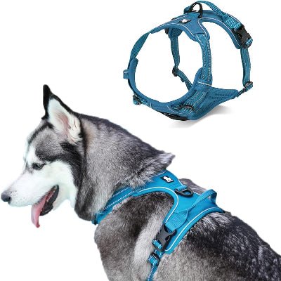 Harnais - PullFree™ - Bleu - Espace Animalier Chien Chat