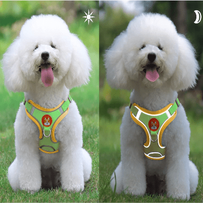 Harnais - PuppyTrek™ - Vert - Espace Animalier Chien Chat