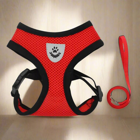 Harnais Petit Chien - DogHarnessLeadLeash™ - Rouge - Espace Animalier Chien Chat