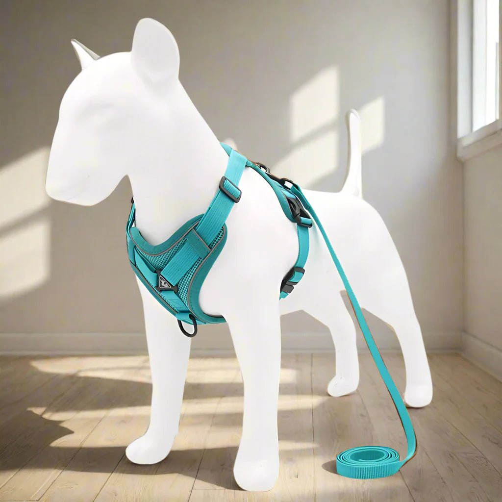 Harnais Petit Chien - DogHarnessVest™ - Cyan - Espace Animalier Chien Chat