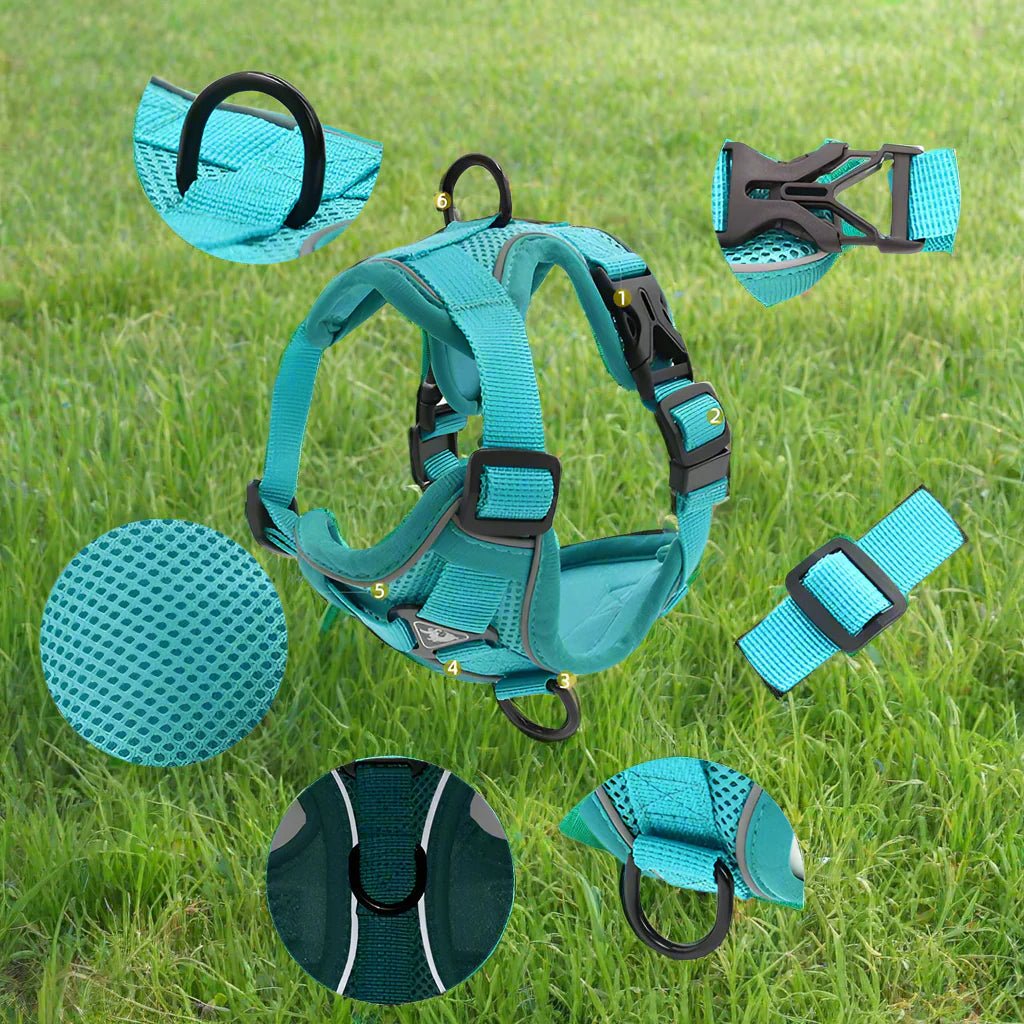 Harnais Petit Chien - DogHarnessVest™ - Cyan - Espace Animalier Chien Chat