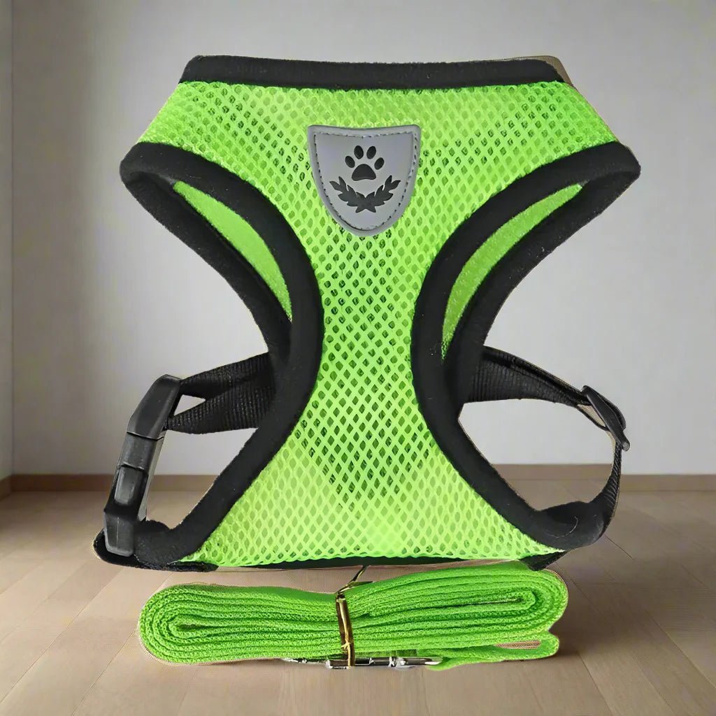 Harnais Petit Chien - DogHarnessLeadLeash™ - Vert - Espace Animalier Chien Chat